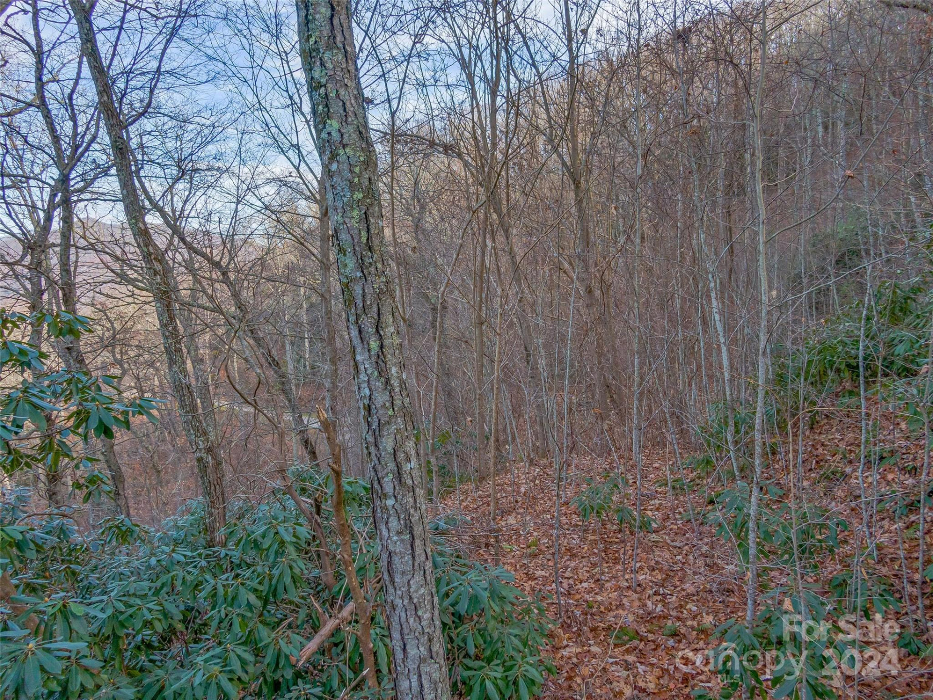 99999 Stonecrest Drive #A, B - Photo 14