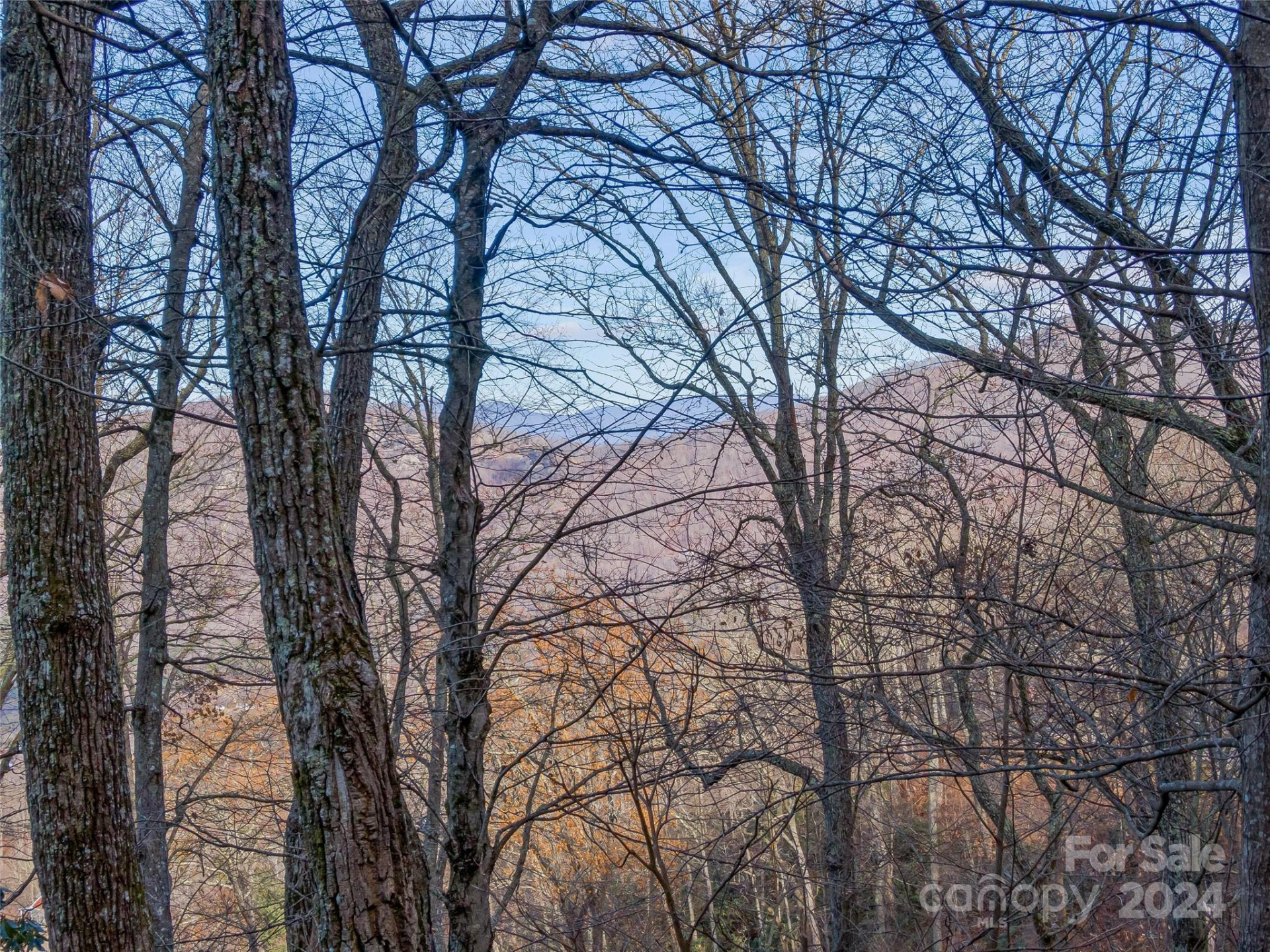 99999 Stonecrest Drive #A, B - Photo 16