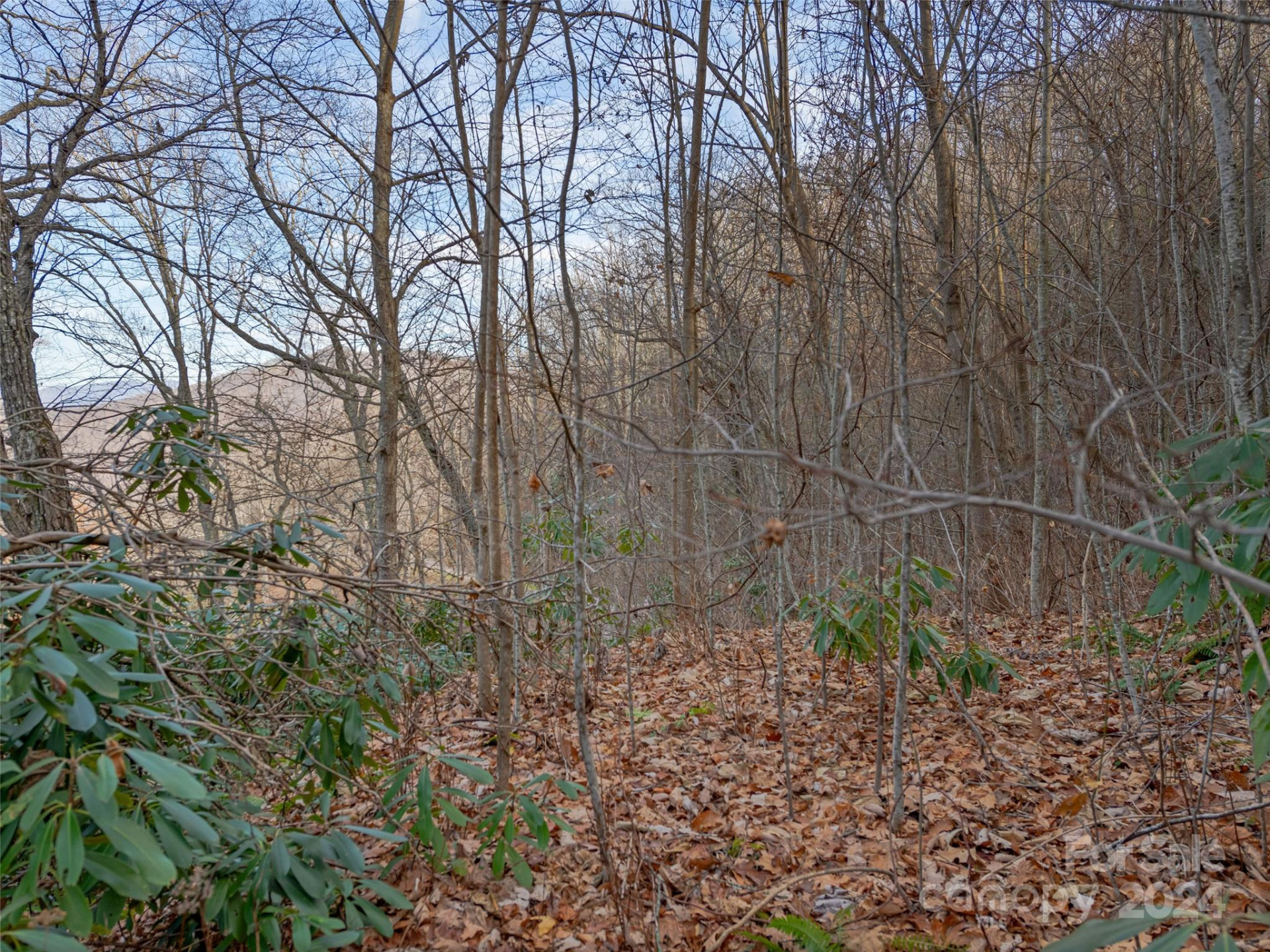 99999 Stonecrest Drive #A, B - Photo 19