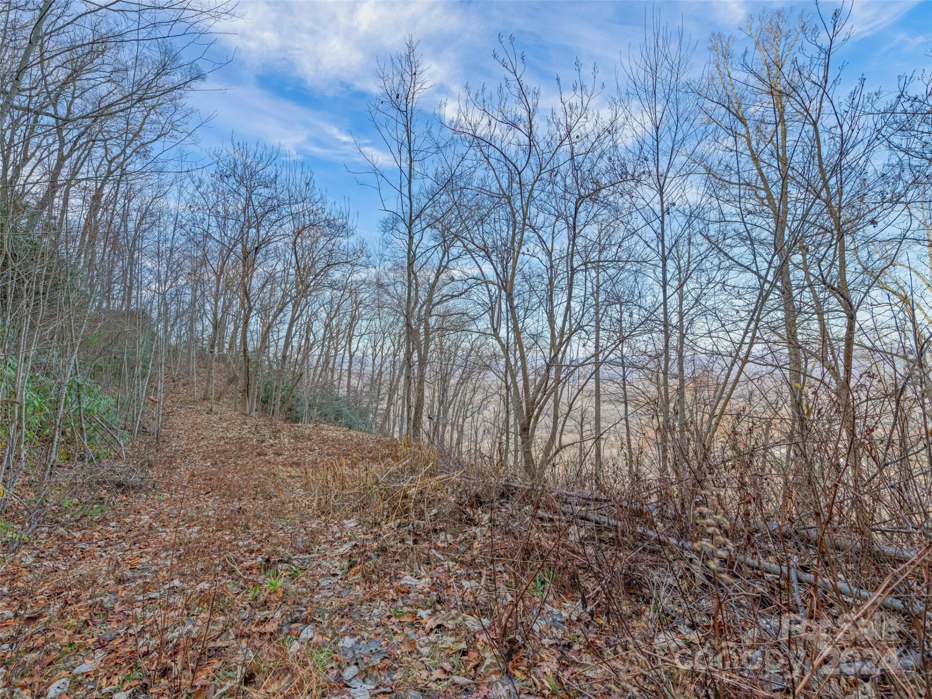 99999 Stonecrest Drive #A, B - Photo 22