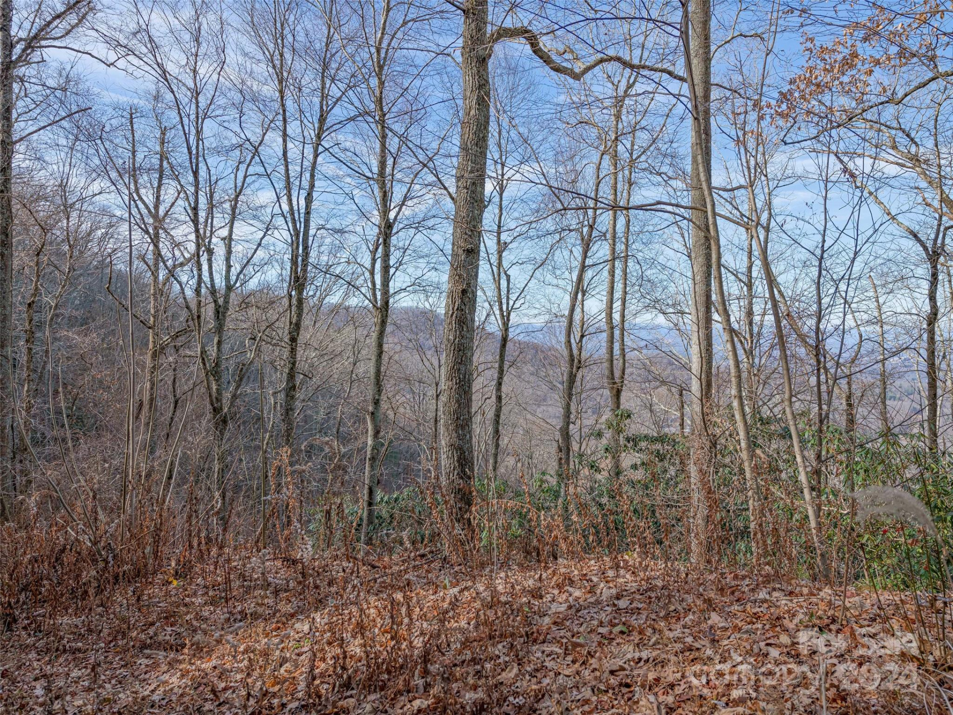 99999 Stonecrest Drive #A, B - Photo 25