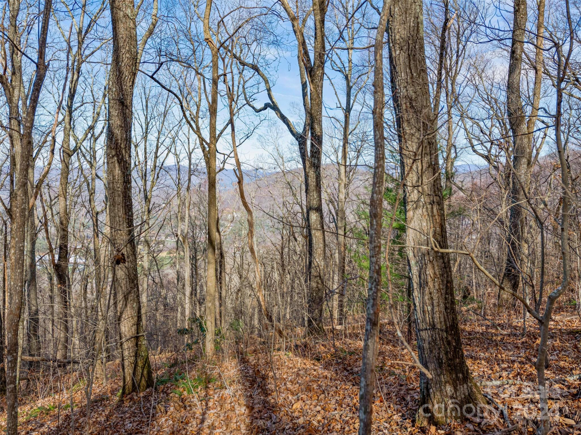 99999 Stonecrest Drive #A, B - Photo 27