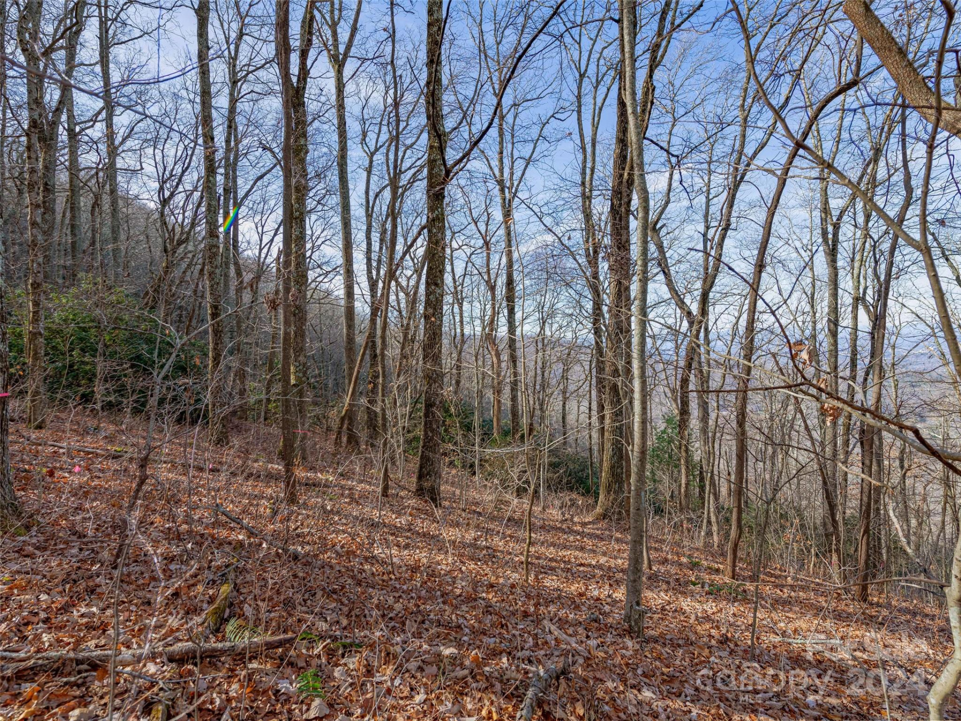 99999 Stonecrest Drive #A, B - Photo 28