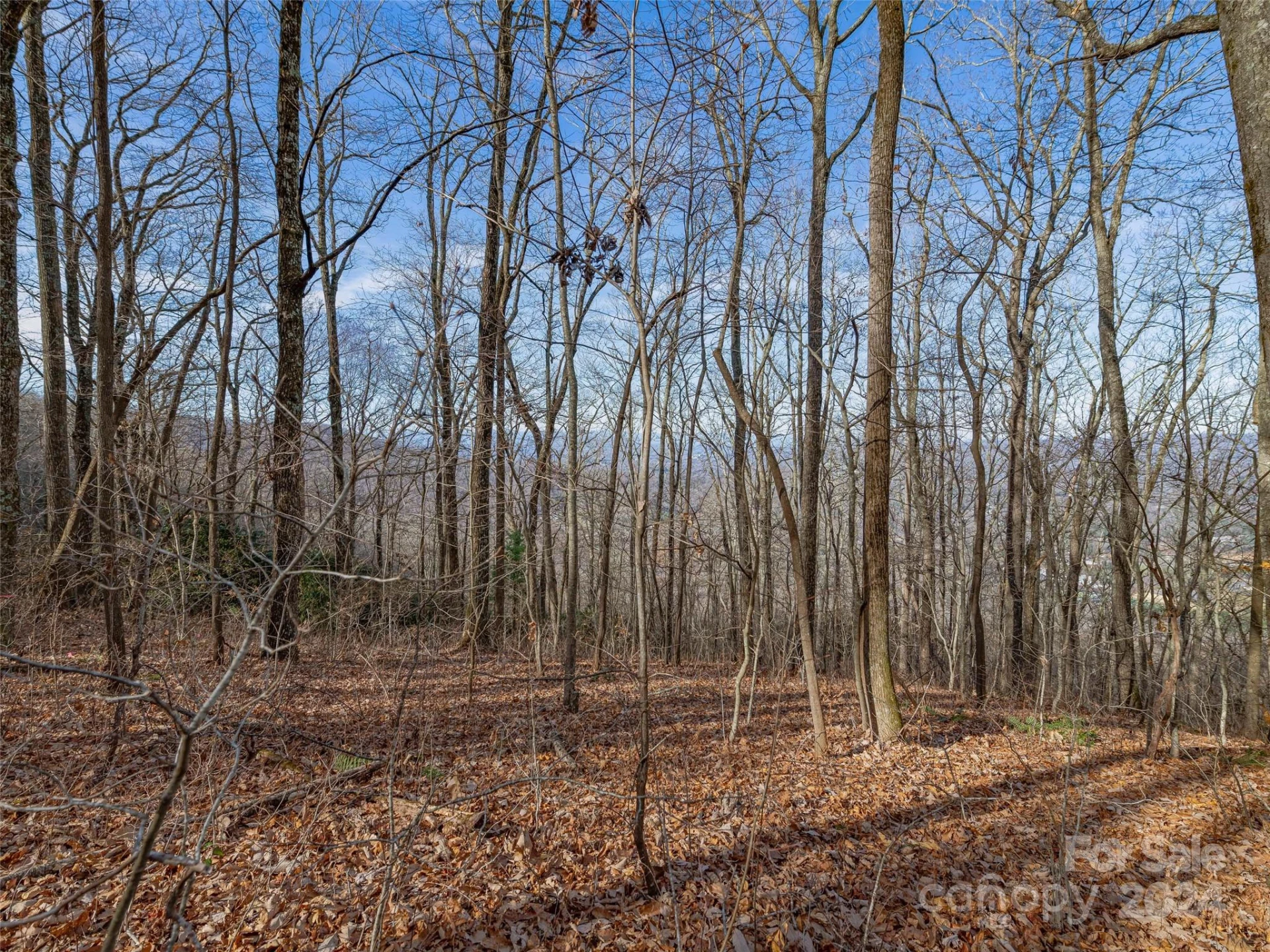 99999 Stonecrest Drive #A, B - Photo 8