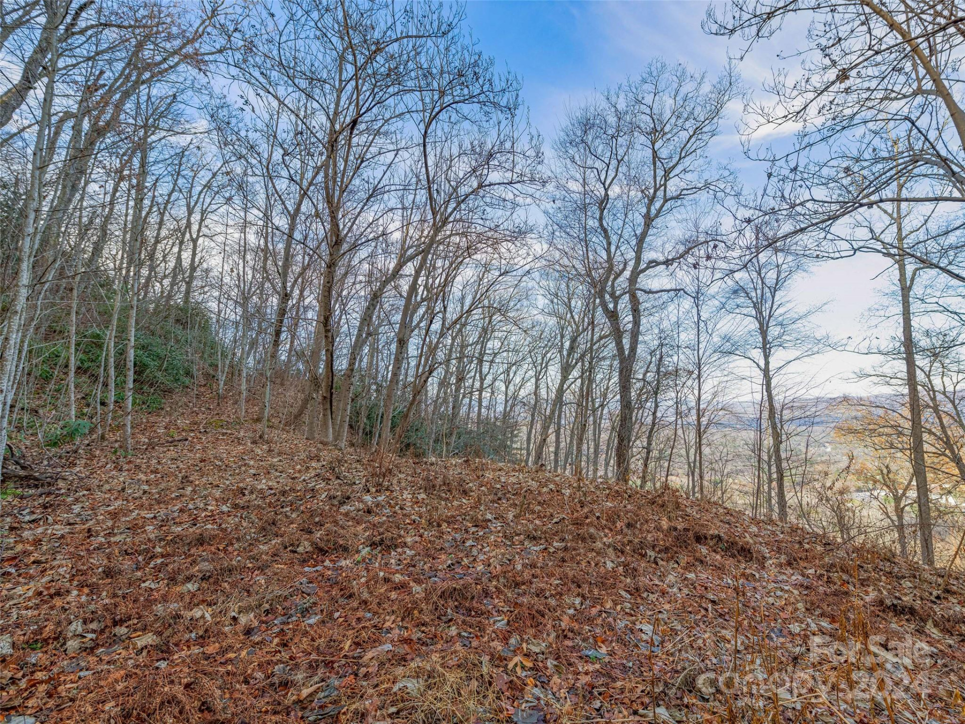 99999 Stonecrest Drive #A, B - Photo 9