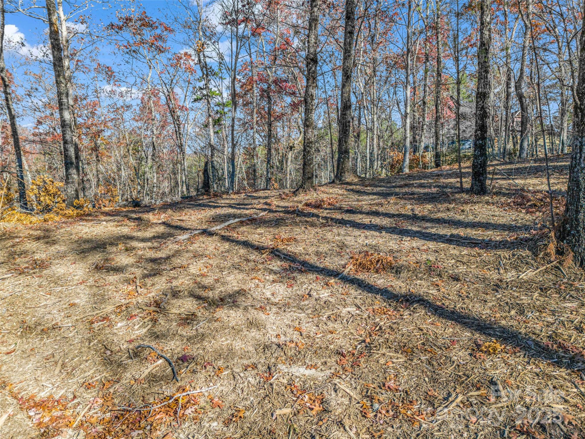 Lot 30 Deep Gap Farm Road - Photo 12