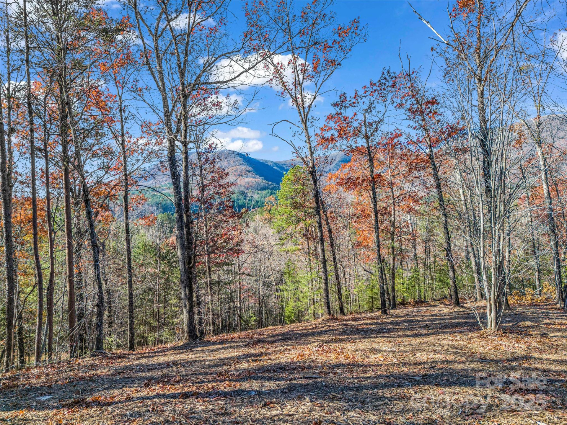 Lot 30 Deep Gap Farm Road - Photo 15