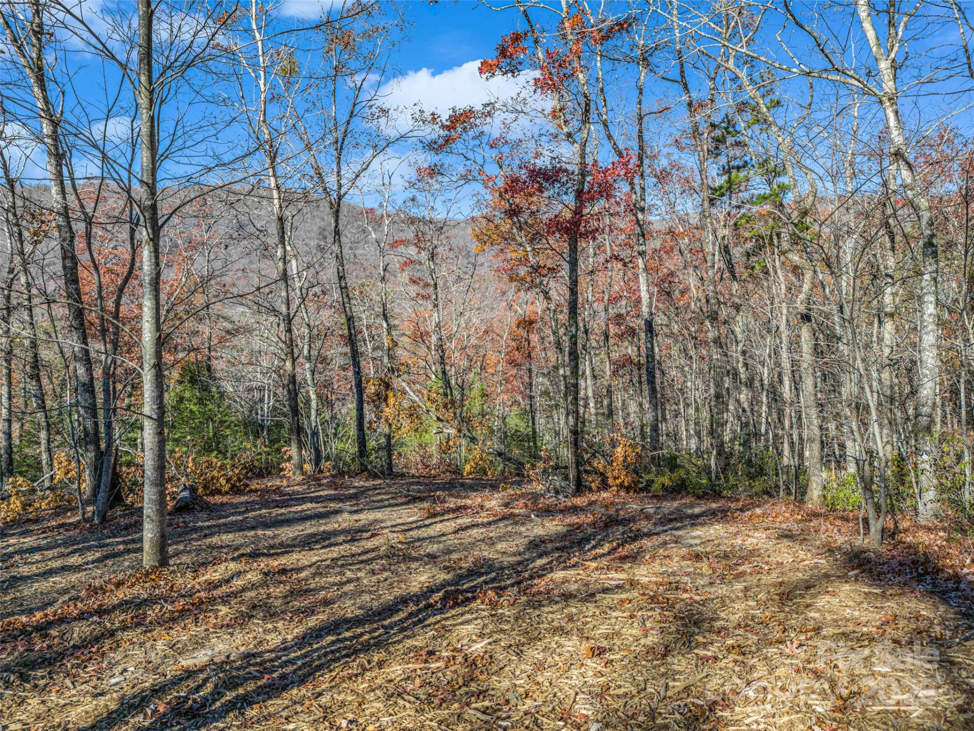Lot 30 Deep Gap Farm Road - Photo 16