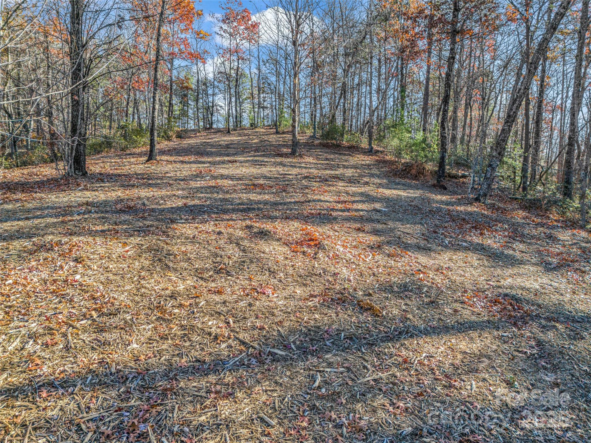Lot 30 Deep Gap Farm Road - Photo 17