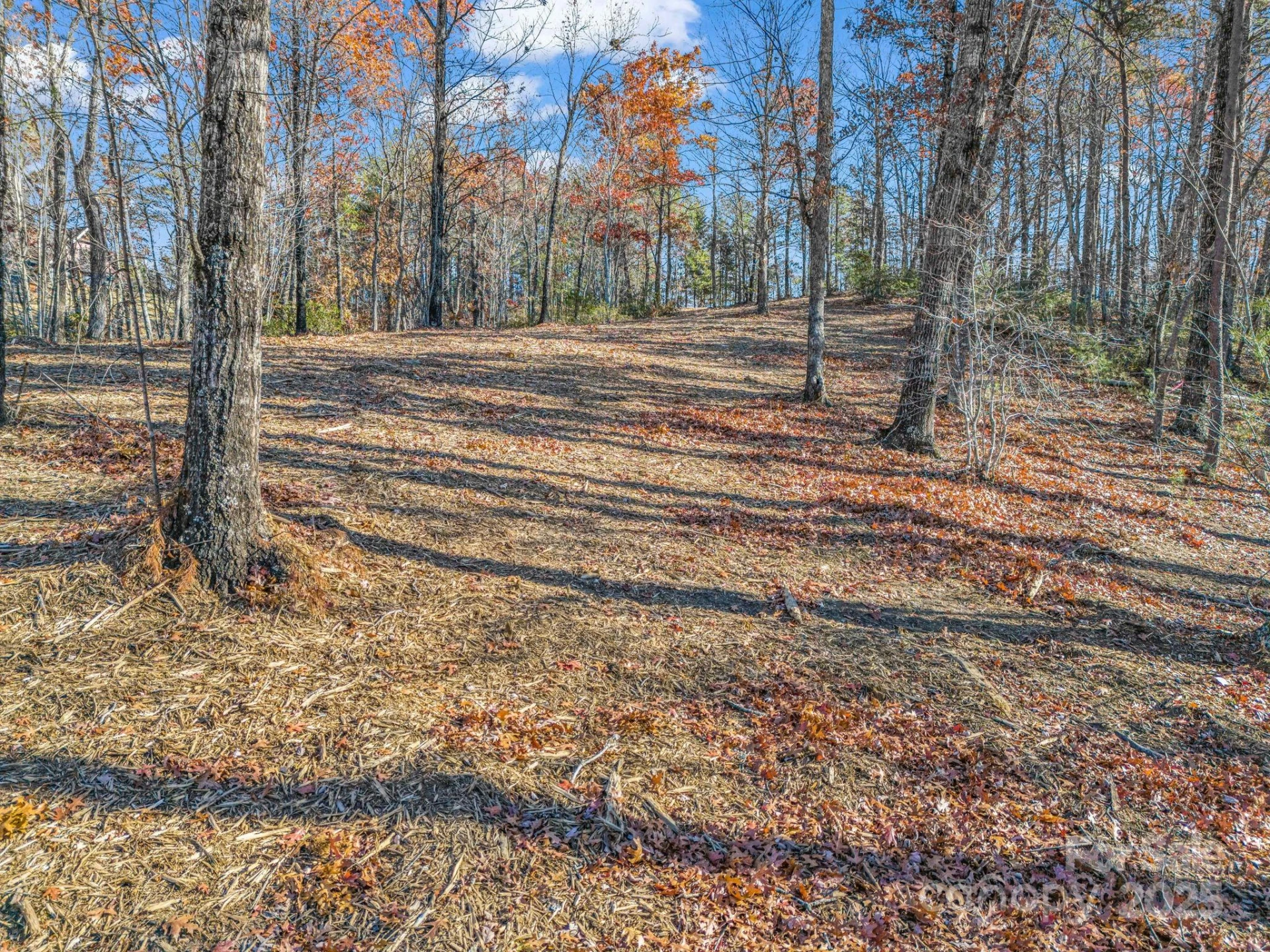 Lot 30 Deep Gap Farm Road - Photo 8