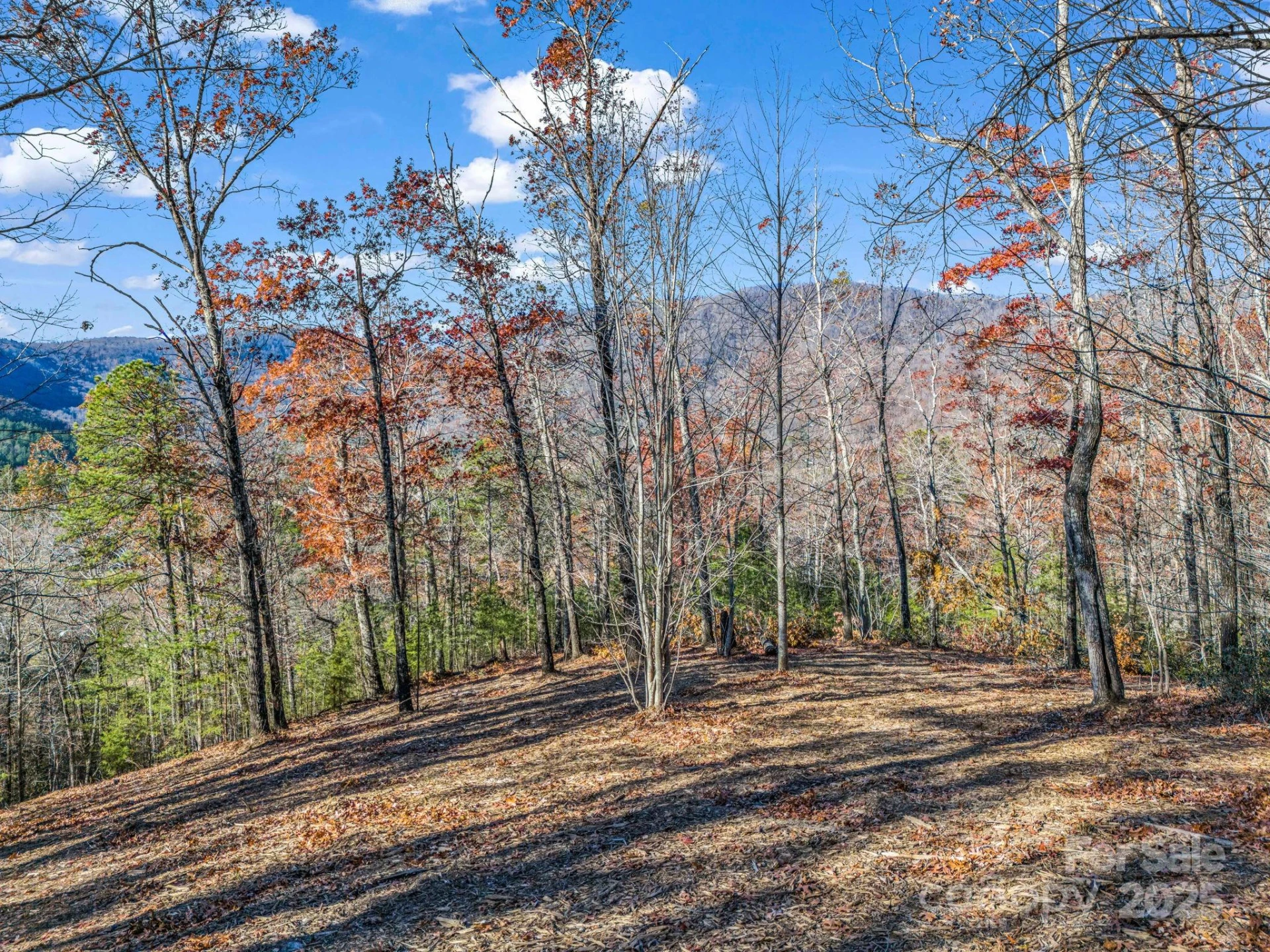 Lot 30 Deep Gap Farm Road - Photo 9