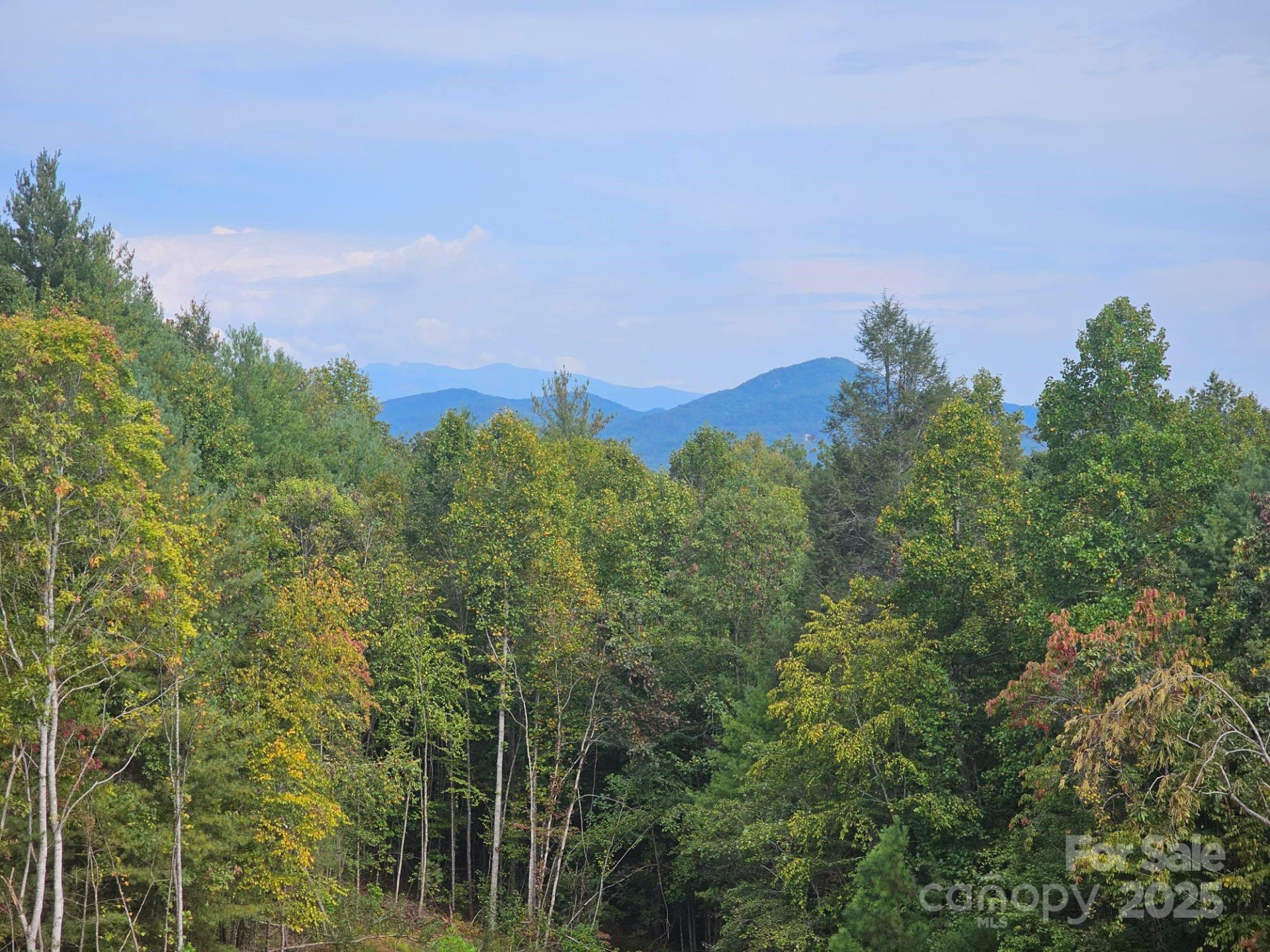 2070 Shannon Drive #76 - Photo 7