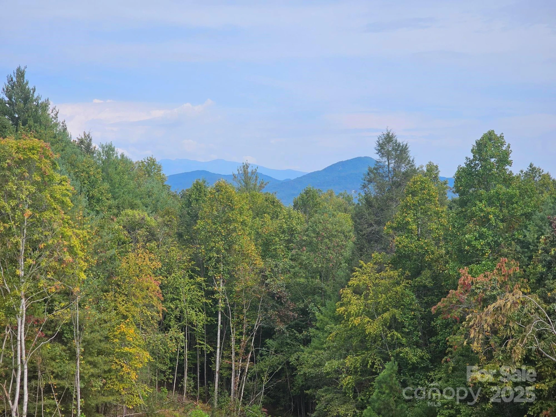 2070 Shannon Drive #76 - Photo 7