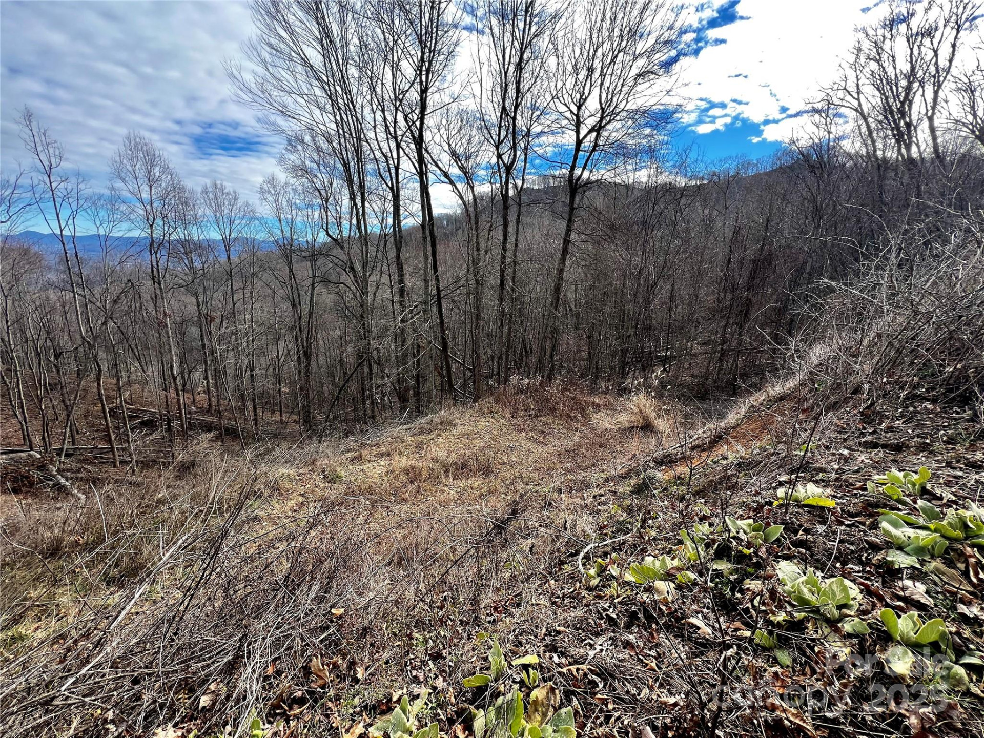 4 and 4b Salisbury Cove - Photo 4