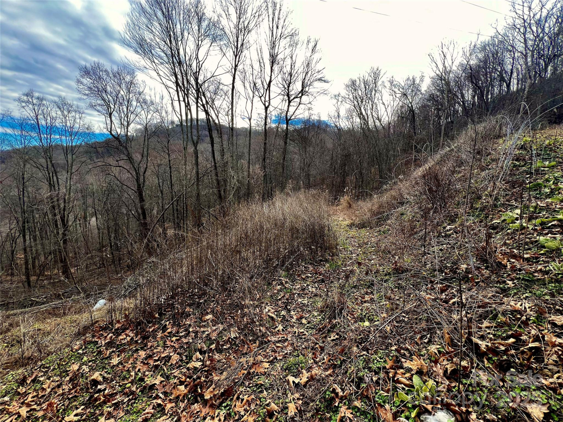 4 and 4b Salisbury Cove - Photo 6