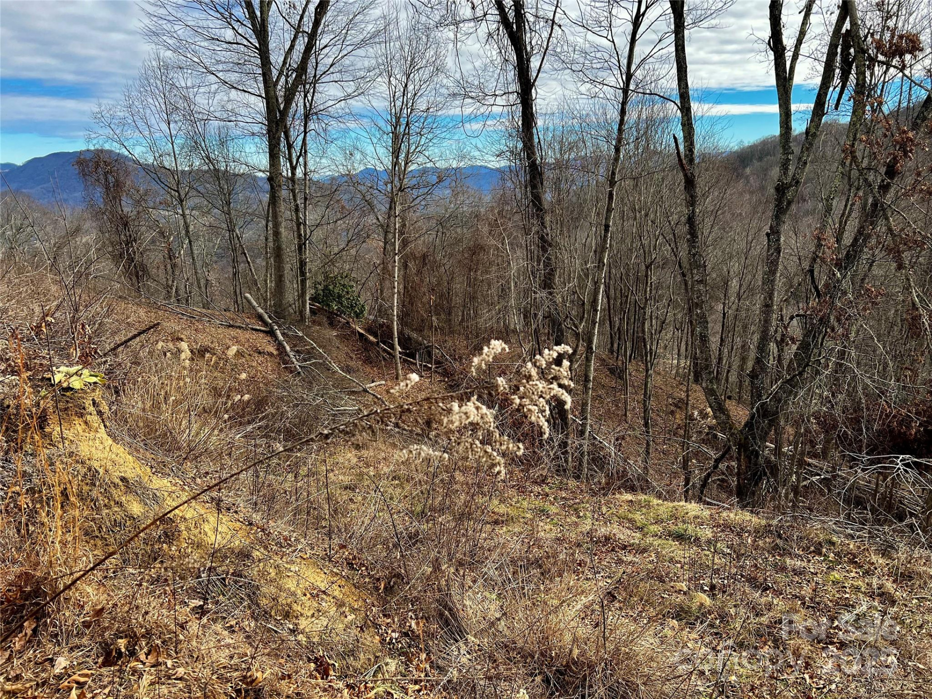 4 and 4b Salisbury Cove - Photo 9