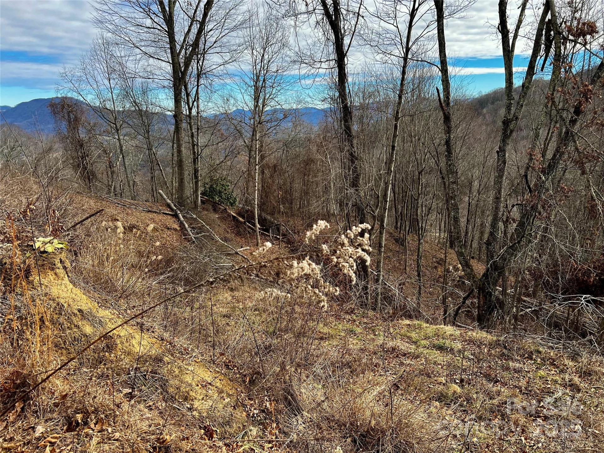 4 and 4b Salisbury Cove - Photo 9