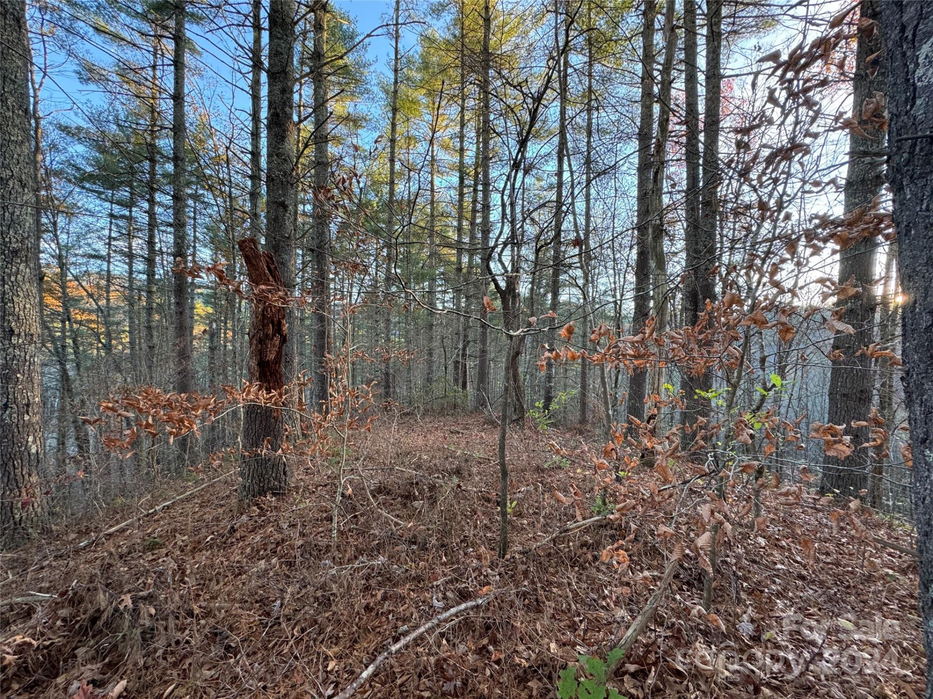 00 Sky Ridge Drive - Photo 2