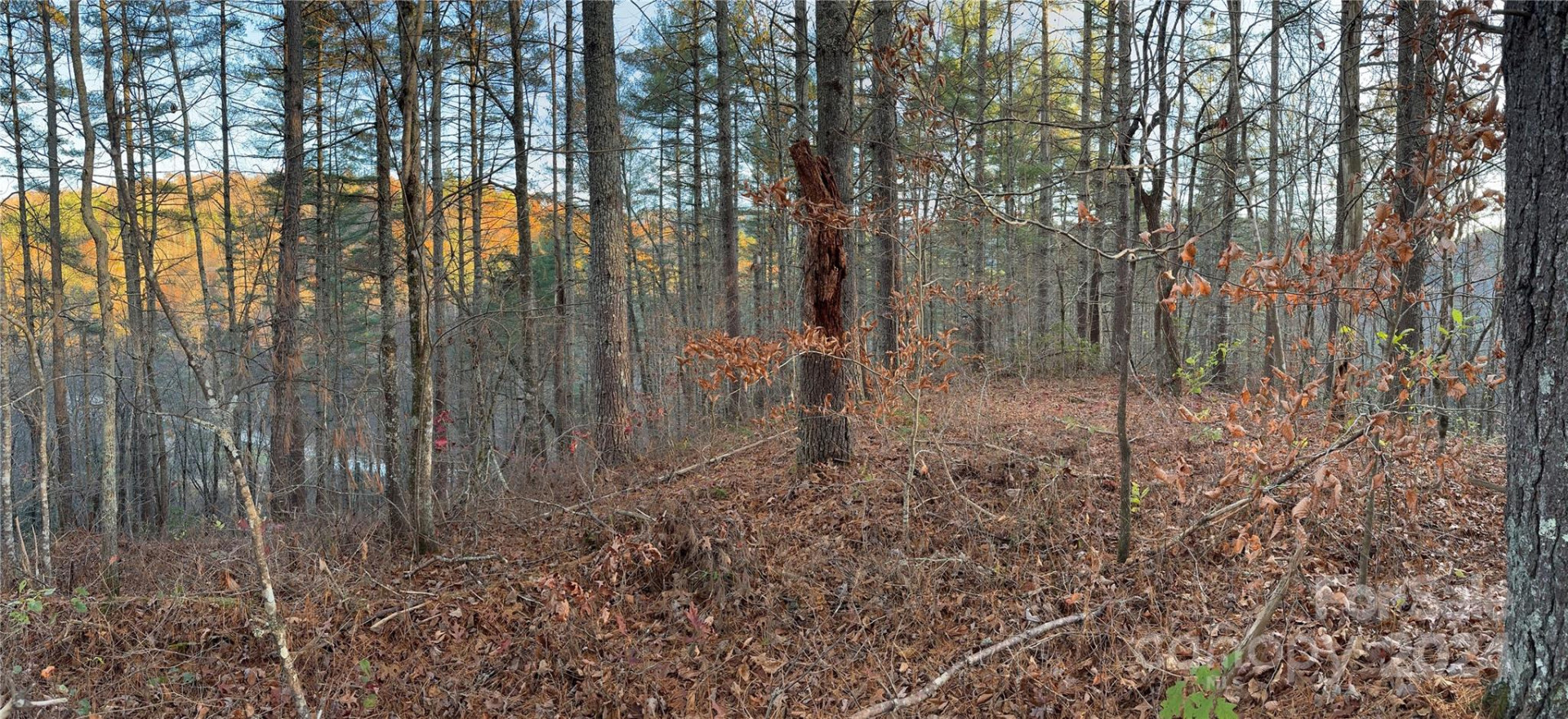 00 Sky Ridge Drive - Photo 3