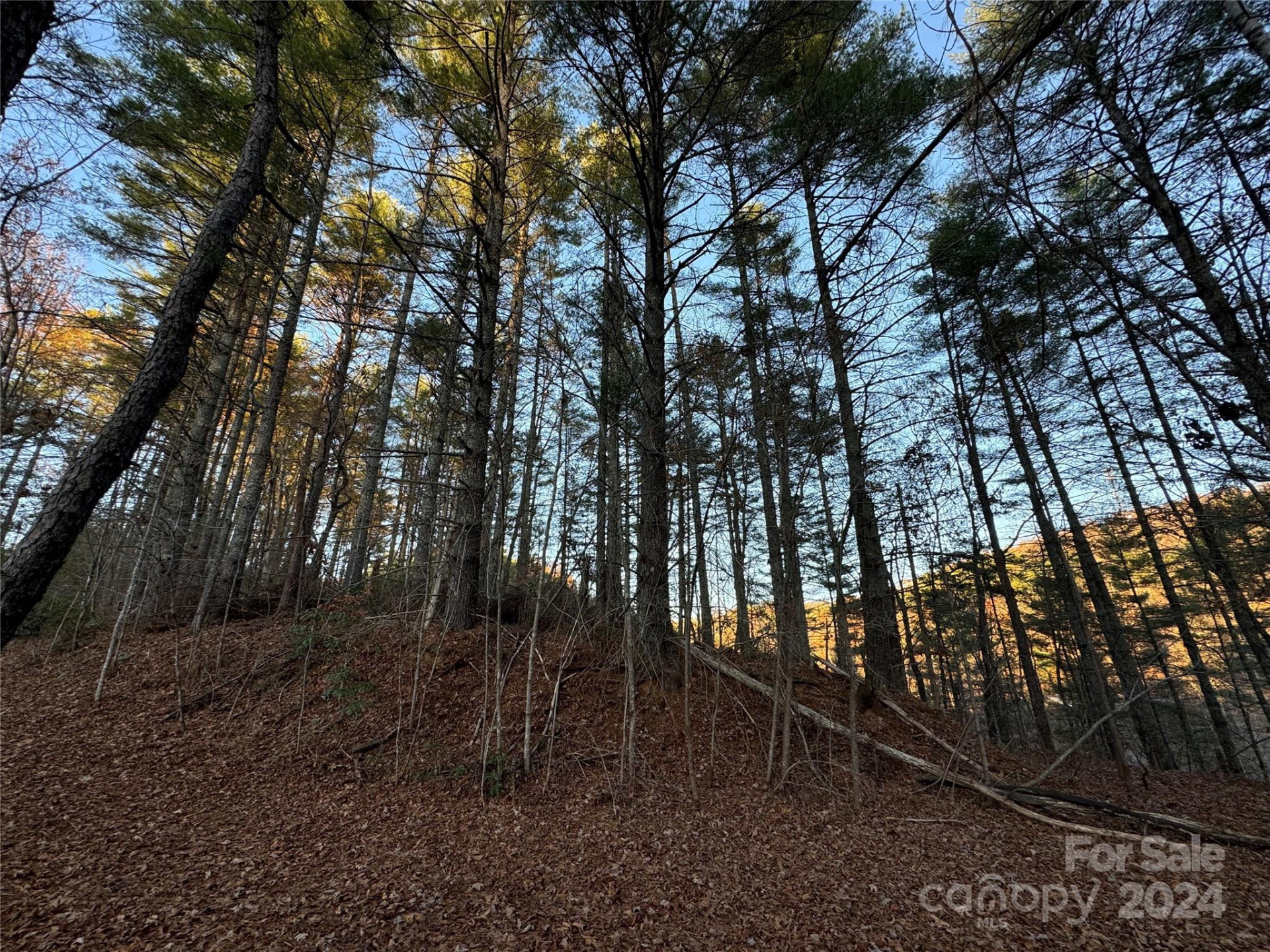 00 Sky Ridge Drive - Photo 4