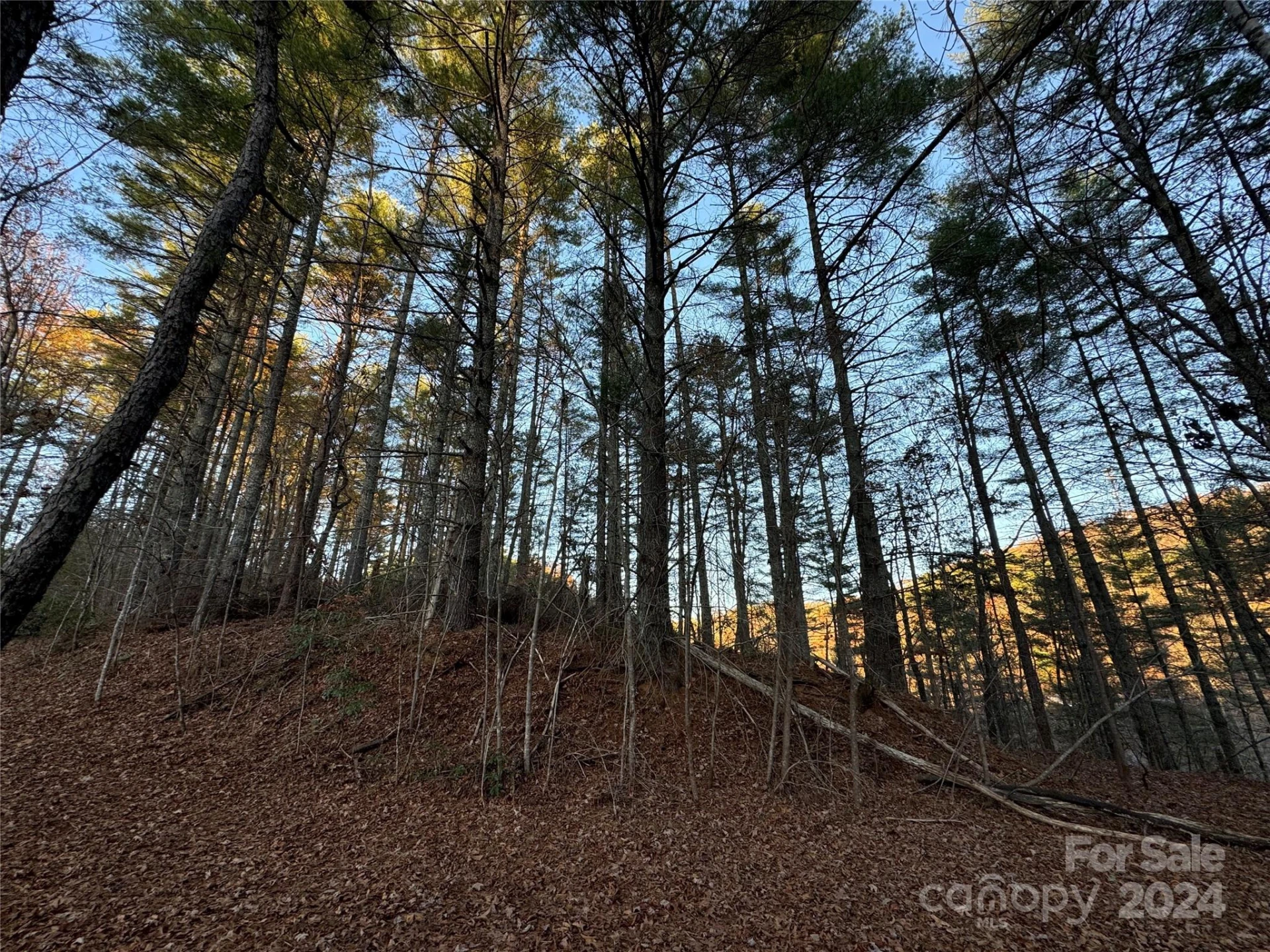 00 Sky Ridge Drive - Photo 4