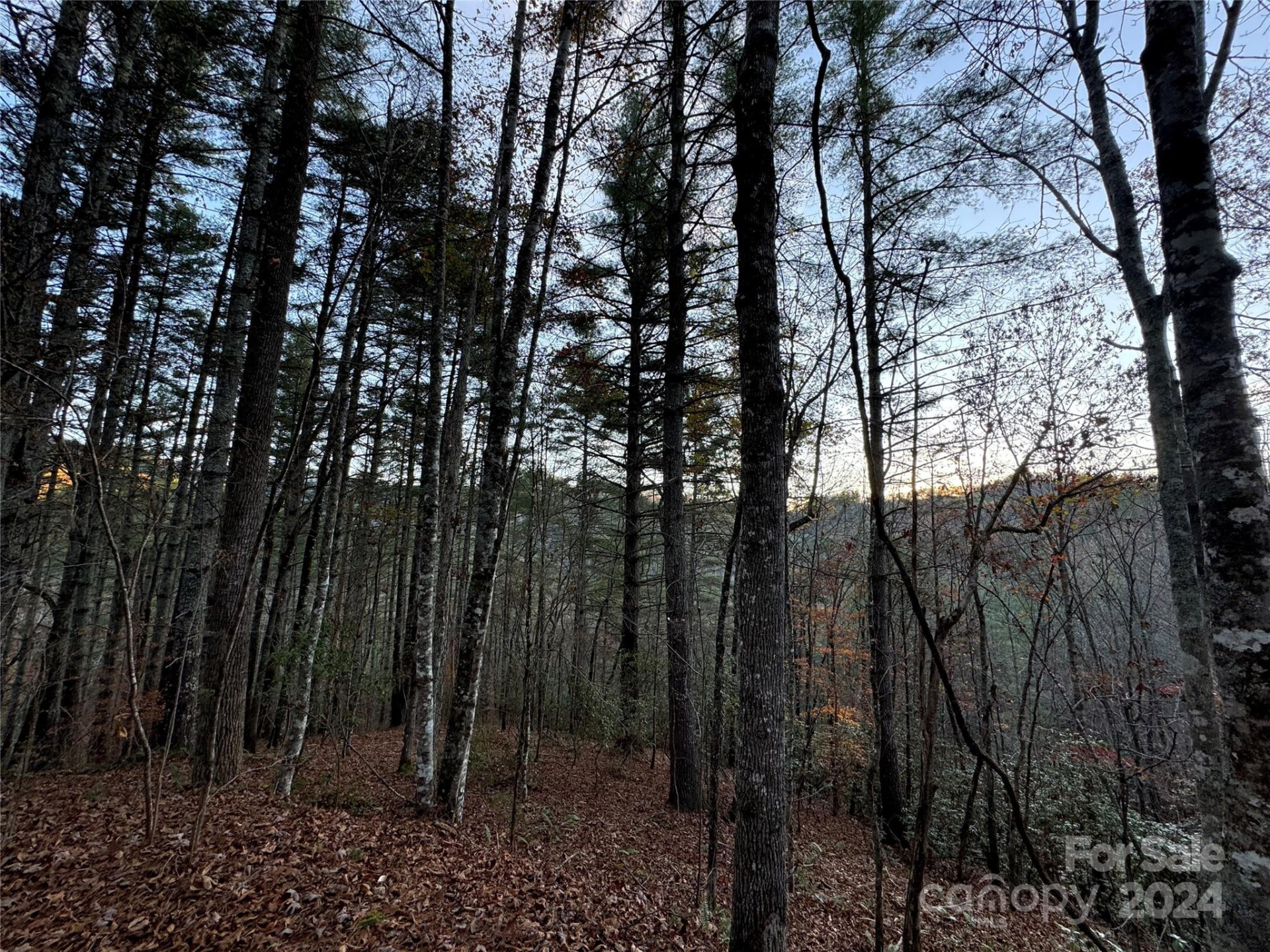 00 Sky Ridge Drive - Photo 5