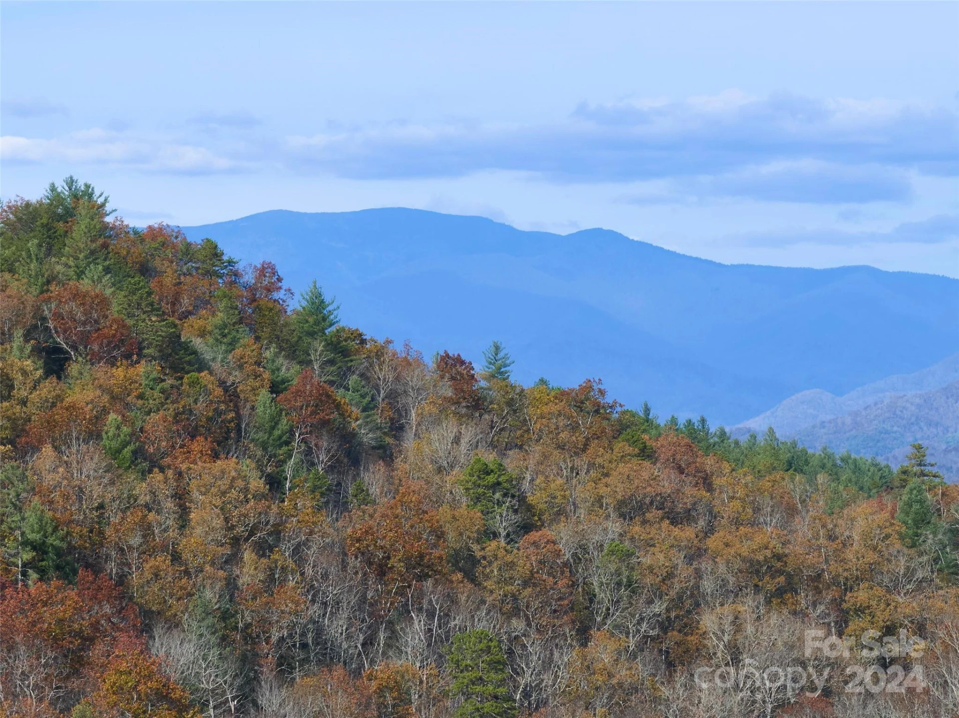 00 Sky Ridge Drive - Photo 6