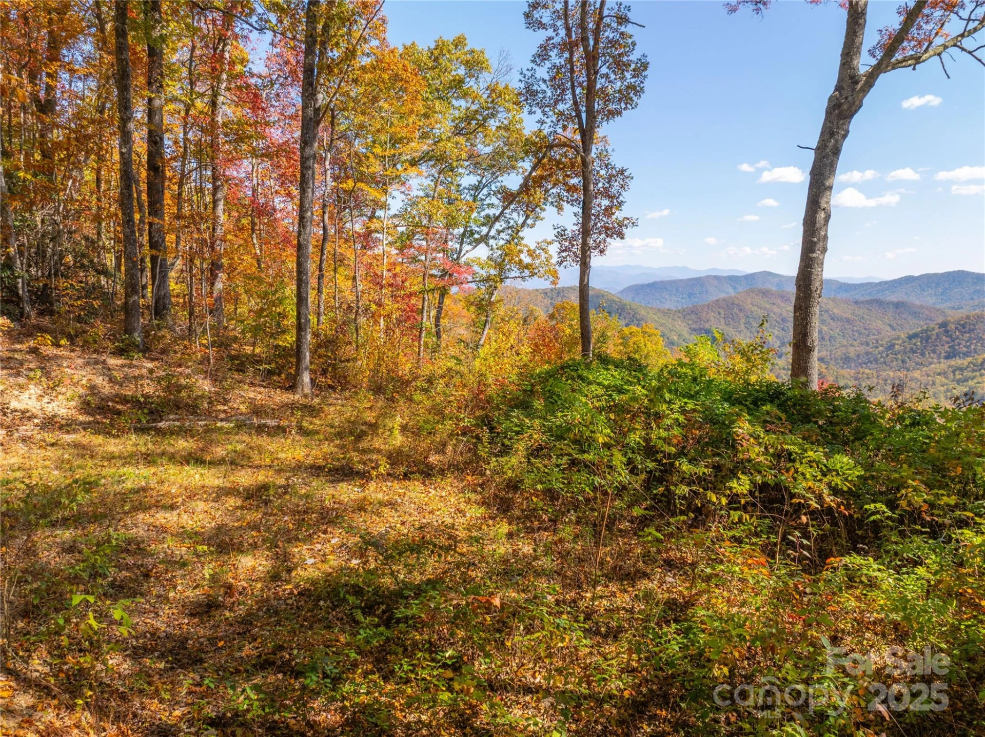 9999 Conleys Creek