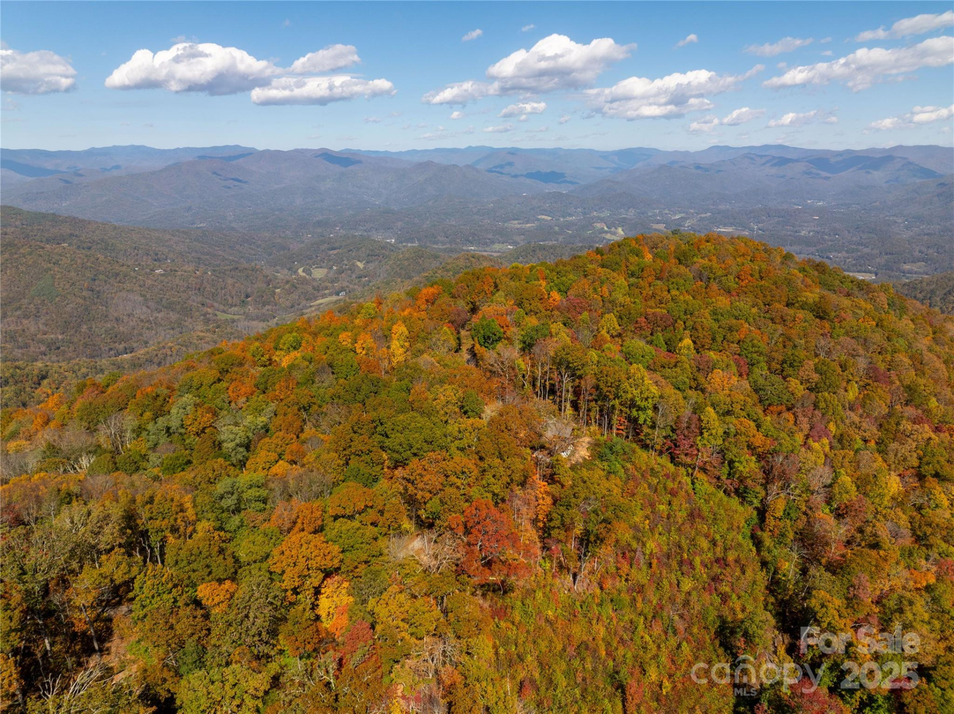 9999 Conleys Creek - Photo 2