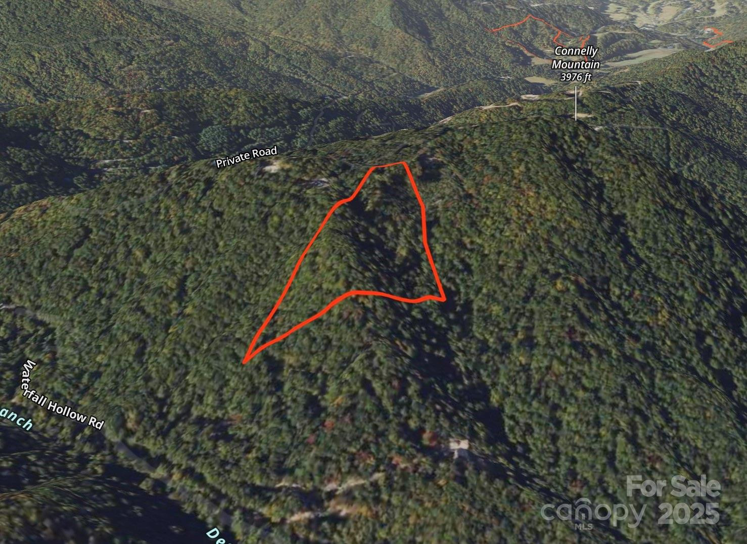 9999 Conleys Creek - Photo 11