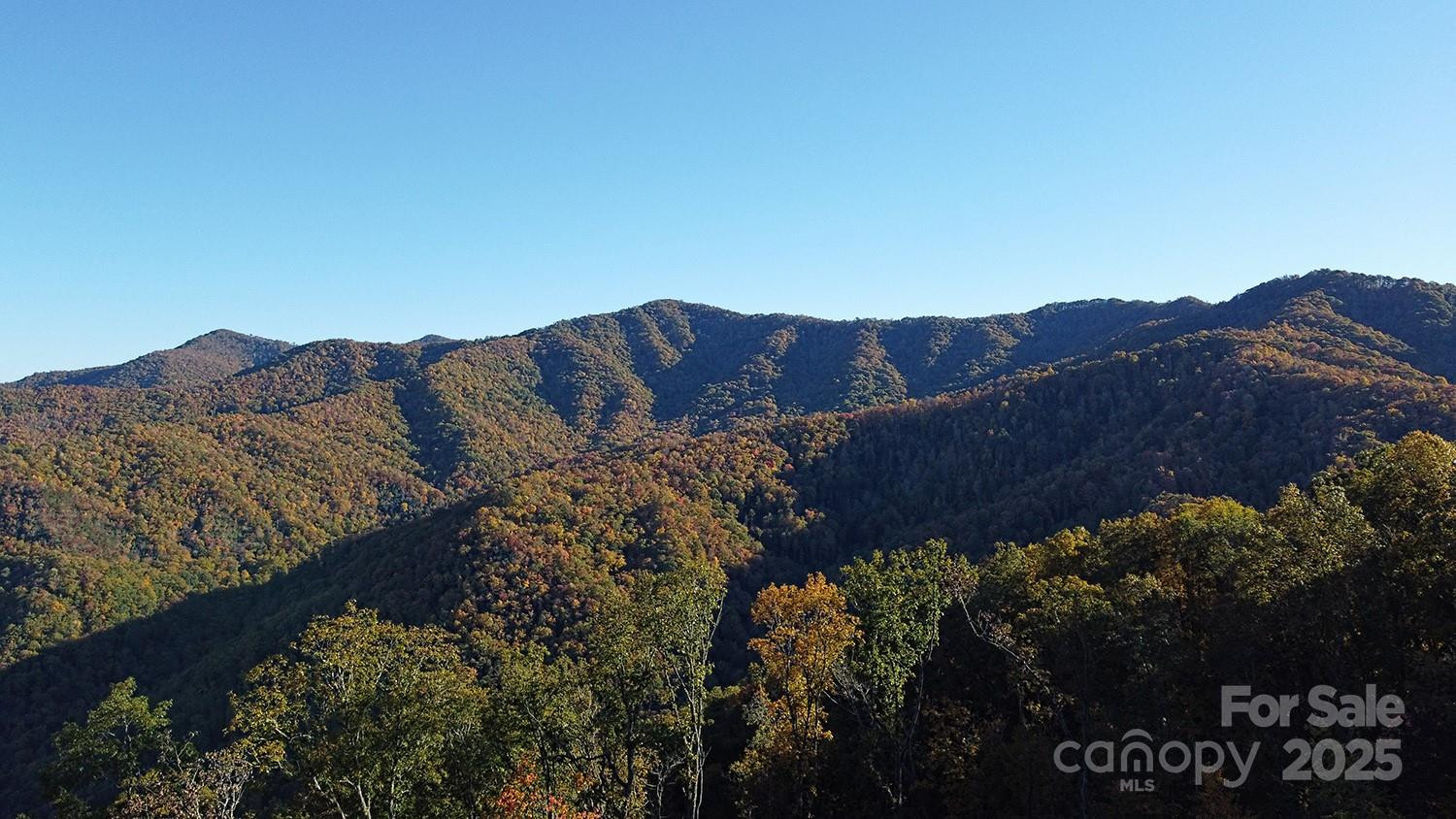 9999 Conleys Creek - Photo 14