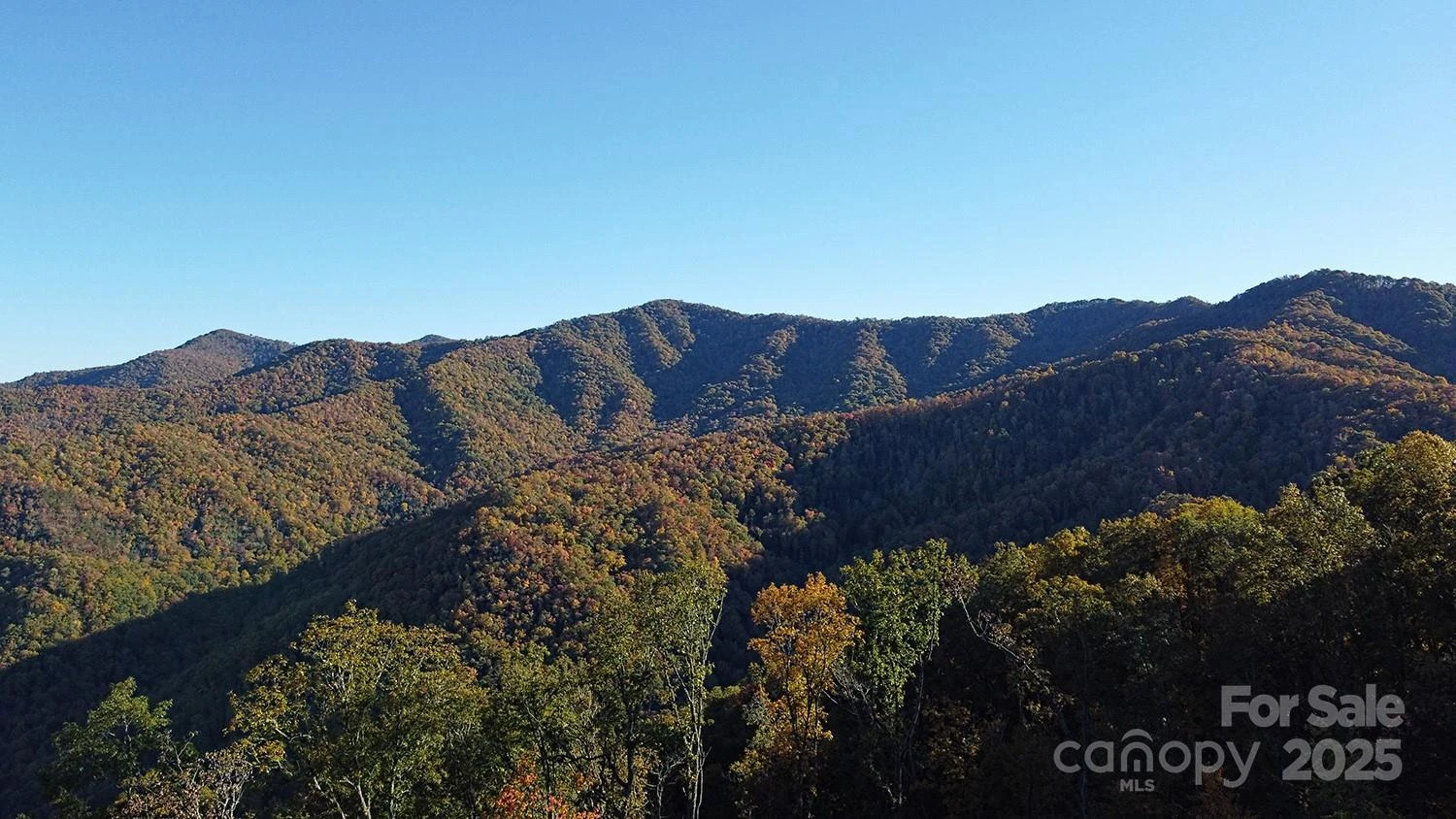 9999 Conleys Creek - Photo 14