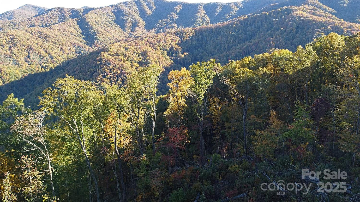 9999 Conleys Creek - Photo 15