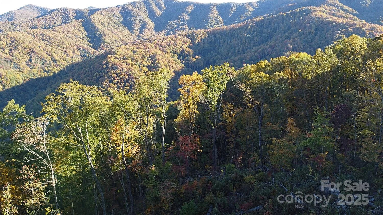 9999 Conleys Creek - Photo 15