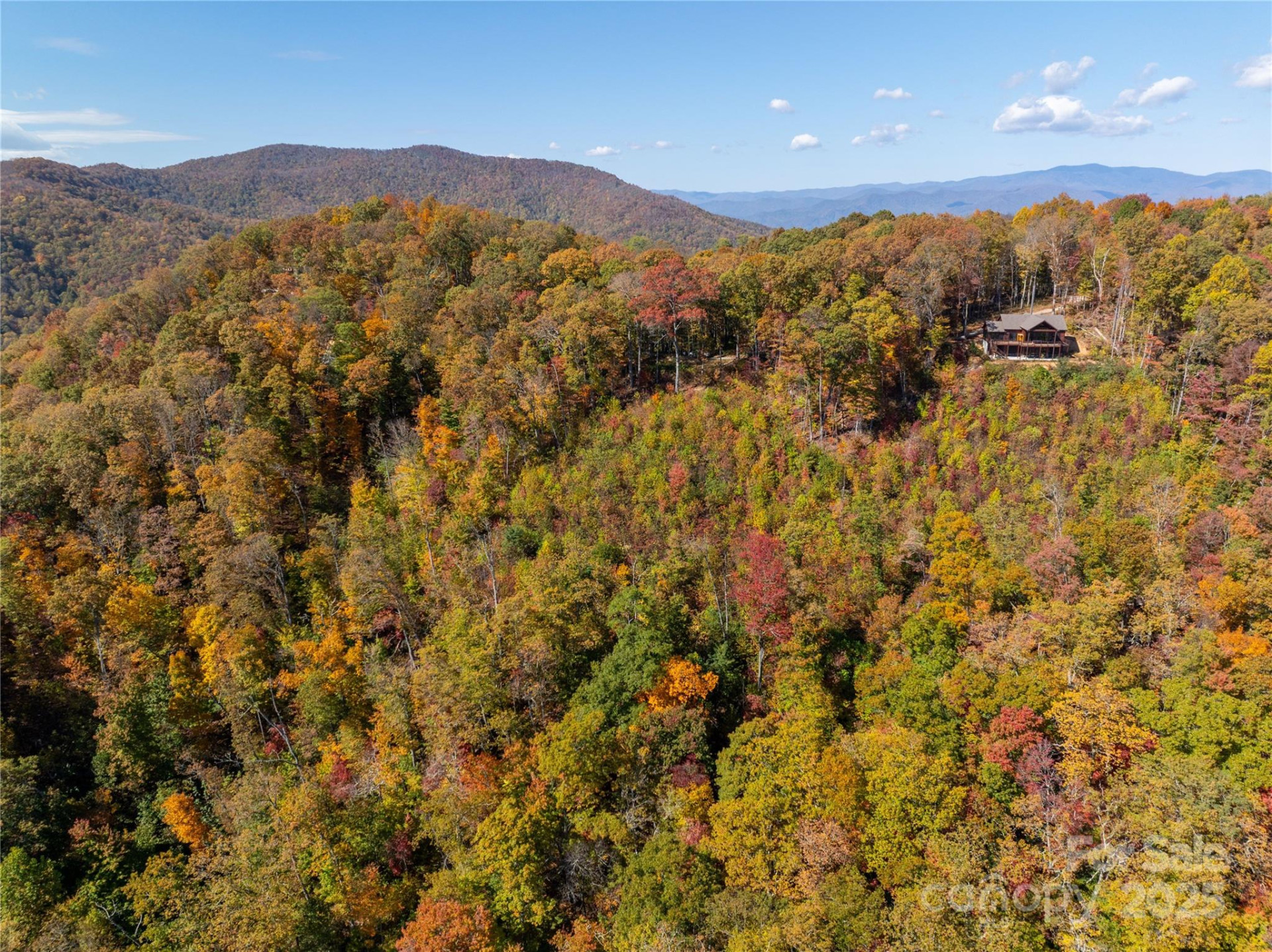 9999 Conleys Creek - Photo 3