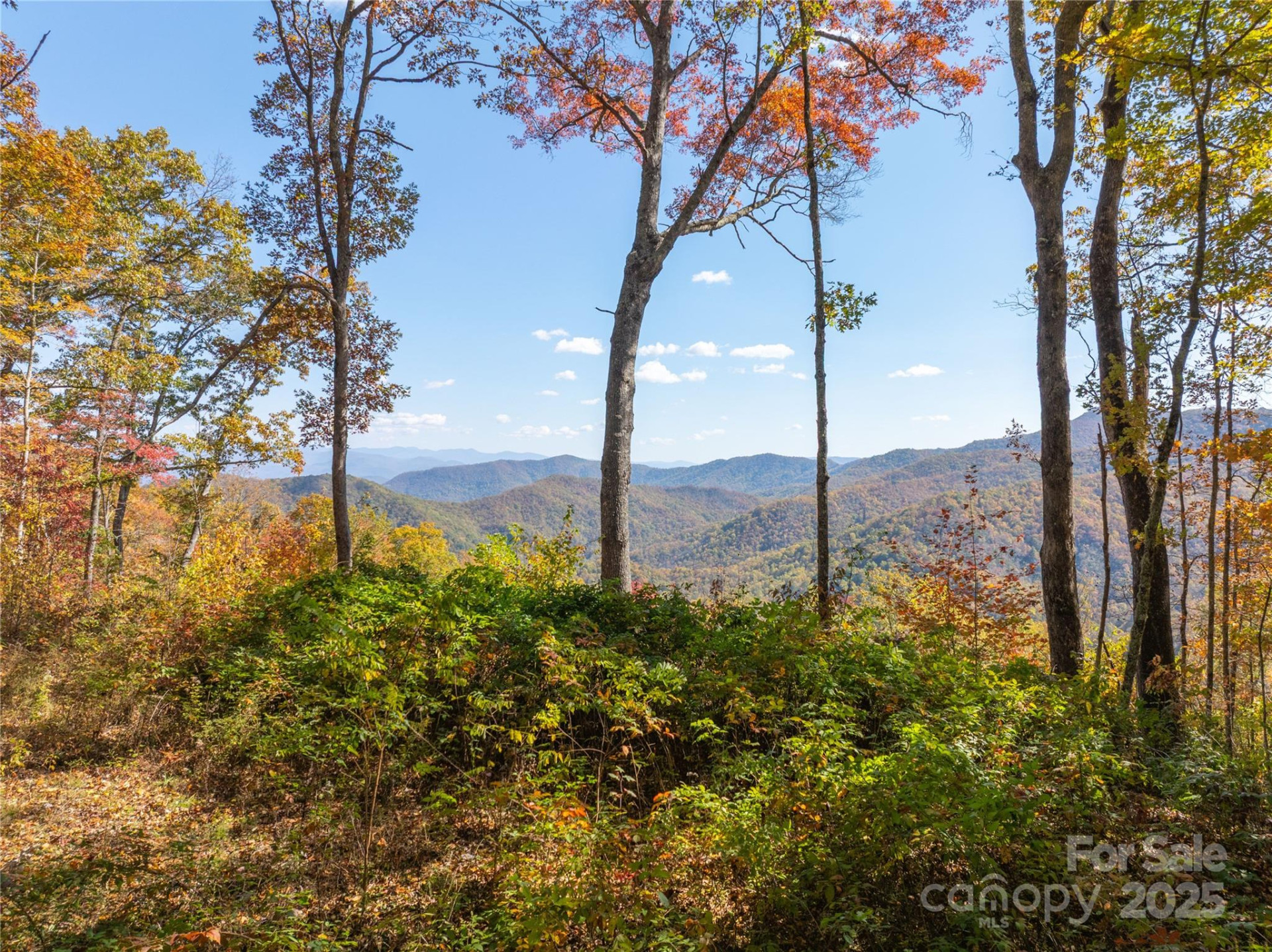 9999 Conleys Creek - Photo 4