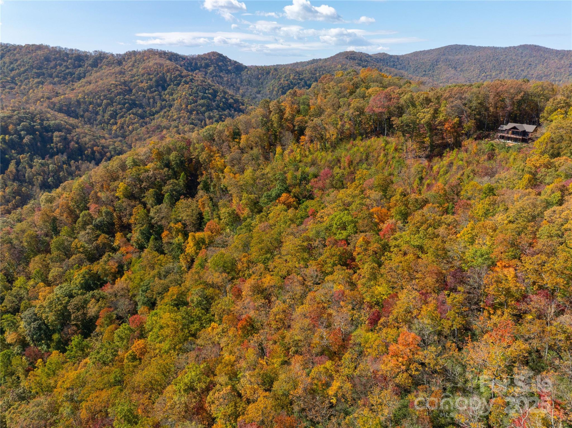 9999 Conleys Creek - Photo 5