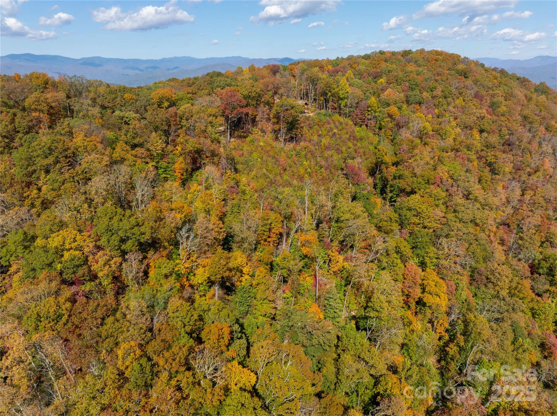 9999 Conleys Creek - Photo 6