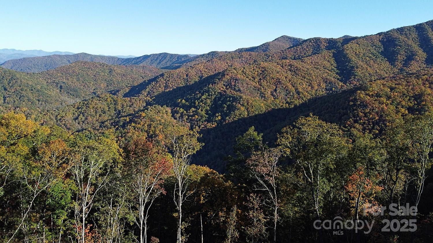 9999 Conleys Creek - Photo 7