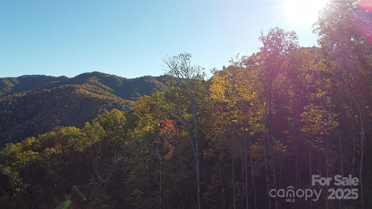 9999 Conleys Creek - Photo 8