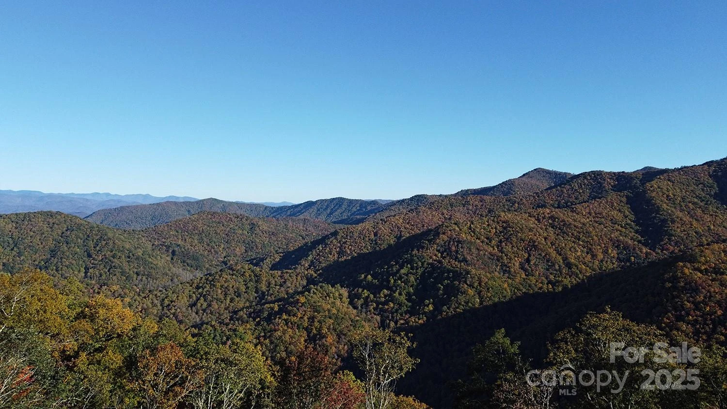 9999 Conleys Creek - Photo 9