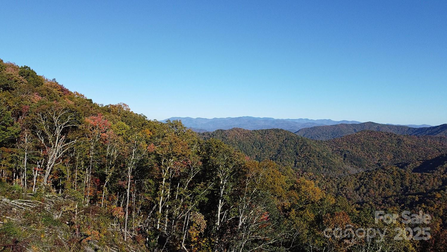 9999 Conleys Creek - Photo 10