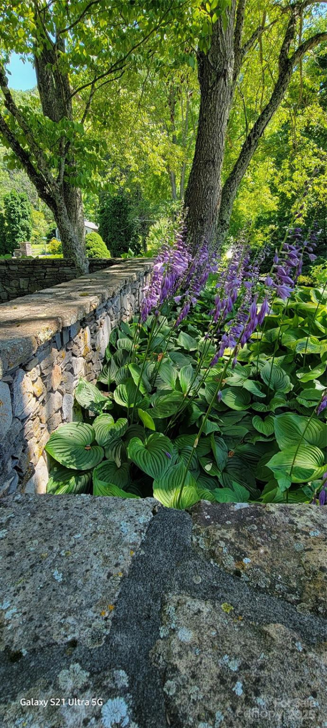 9999 Honeysuckle Drive #10 - Photo 7