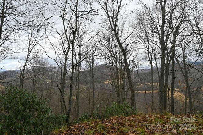 19 Flowing Hills Drive #19, 20 - Photo 2