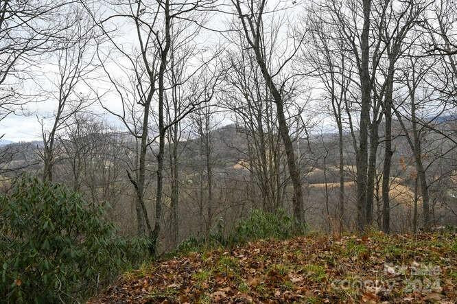 19 Flowing Hills Drive #19, 20 - Photo 3