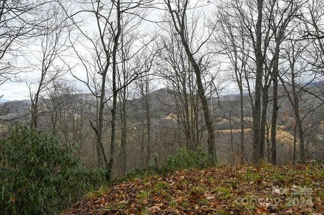 19 Flowing Hills Drive #19, 20 - Photo 3