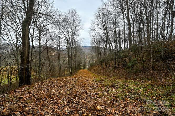 19 Flowing Hills Drive #19, 20 - Photo 4