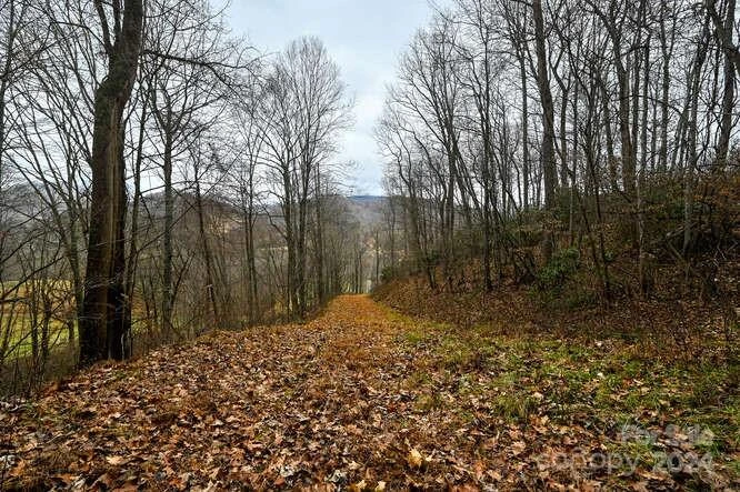 19 Flowing Hills Drive #19, 20 - Photo 4