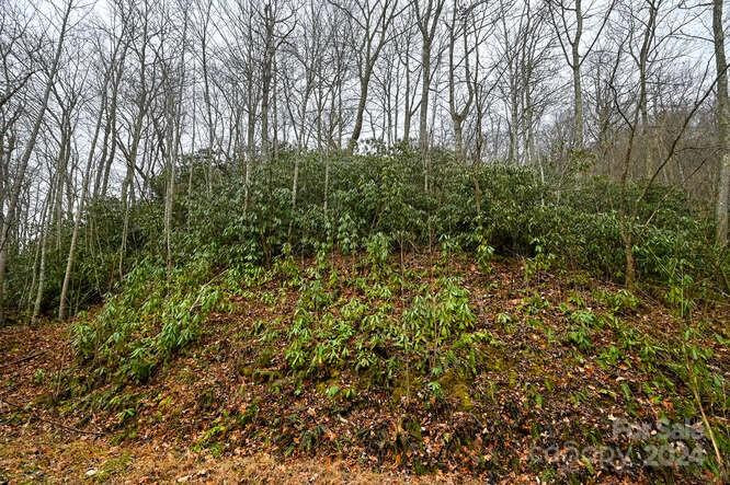 19 Flowing Hills Drive #19, 20 - Photo 10