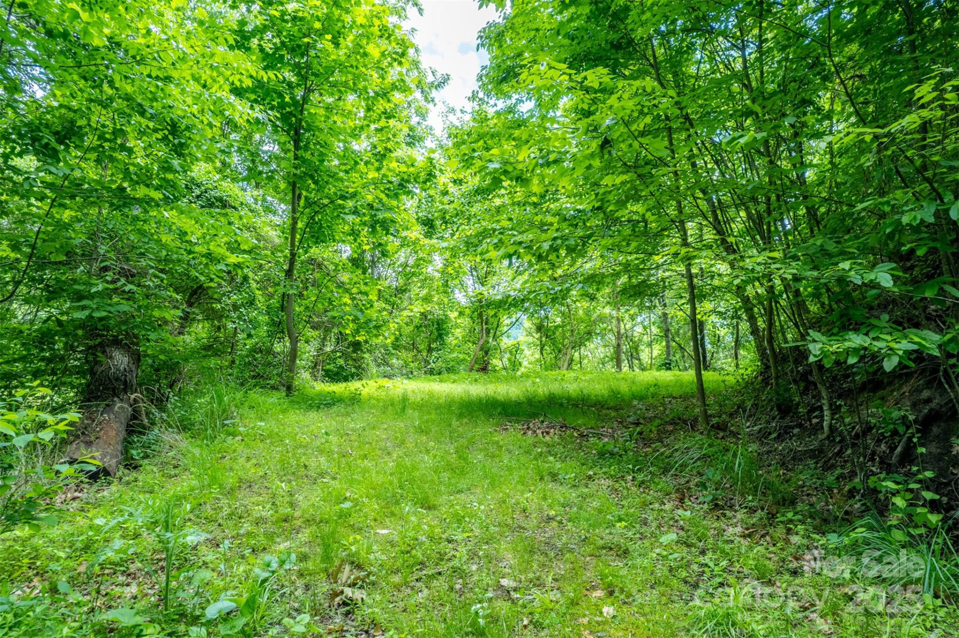 15 Larkspur Way #15 - Photo 12